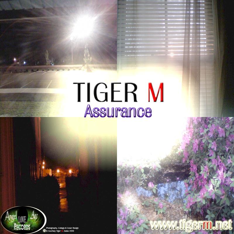 TIGERM.NET - TIGER M - Assurance (Original Mix)