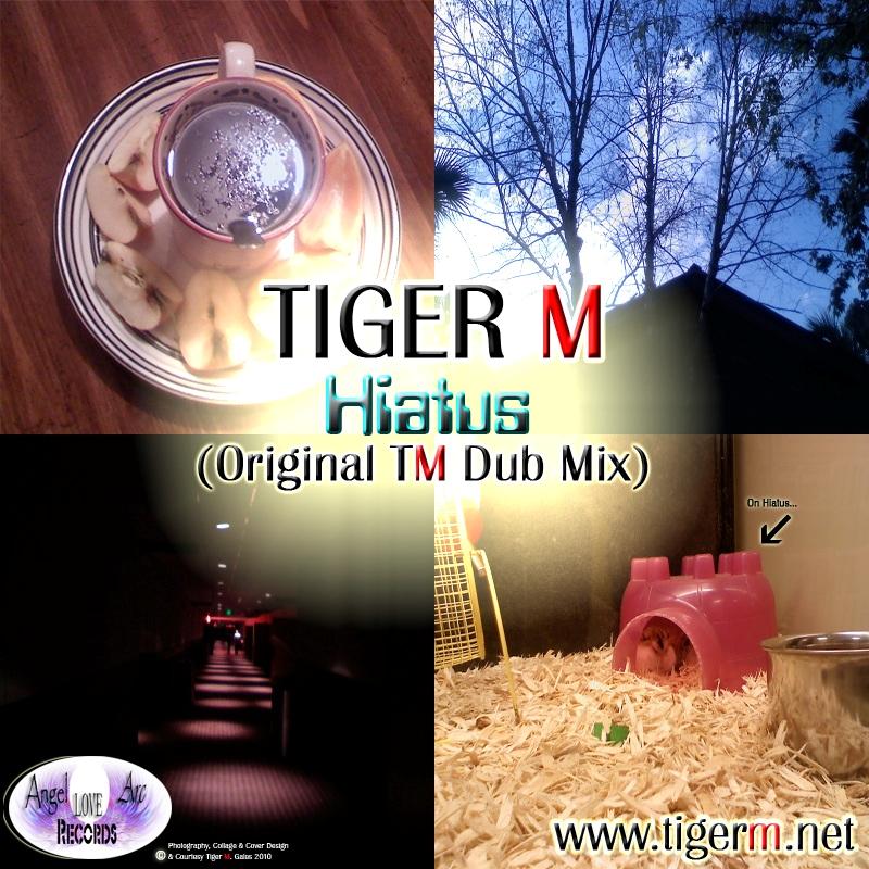 TIGERM.NET - TIGER M - Hiatus (Original Mix)
