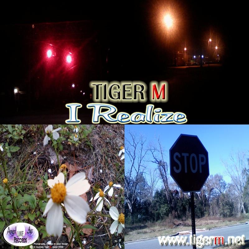 TIGERM.NET - TIGER M - I Realize (Original Mix)