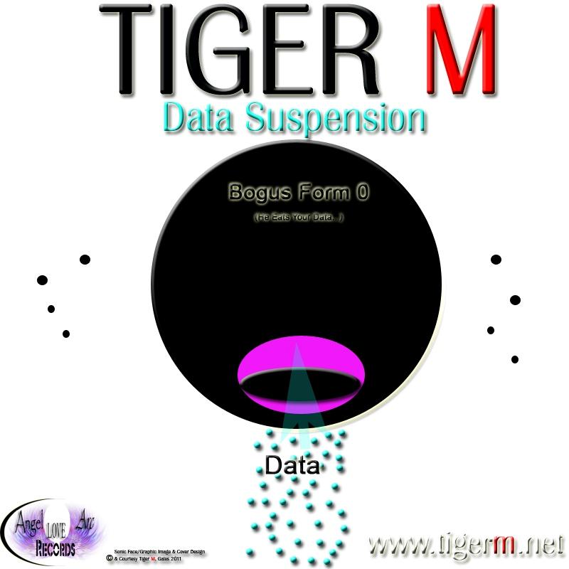 TIGERM.NET - TIGER M - Data Suspension (Original Mix)